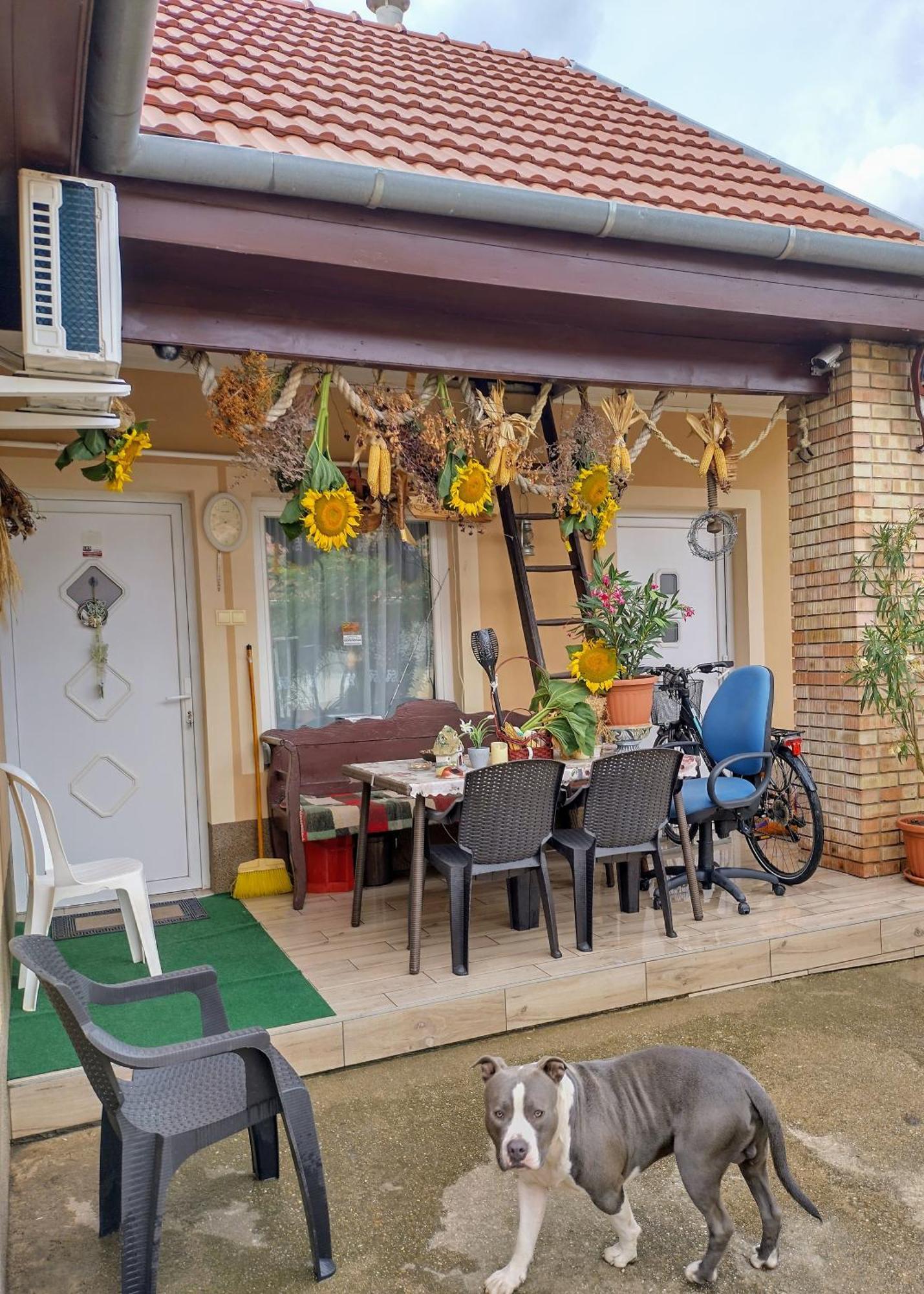 Apartament Bundik Vendeghaz Berettyóújfalu Zewnętrze zdjęcie